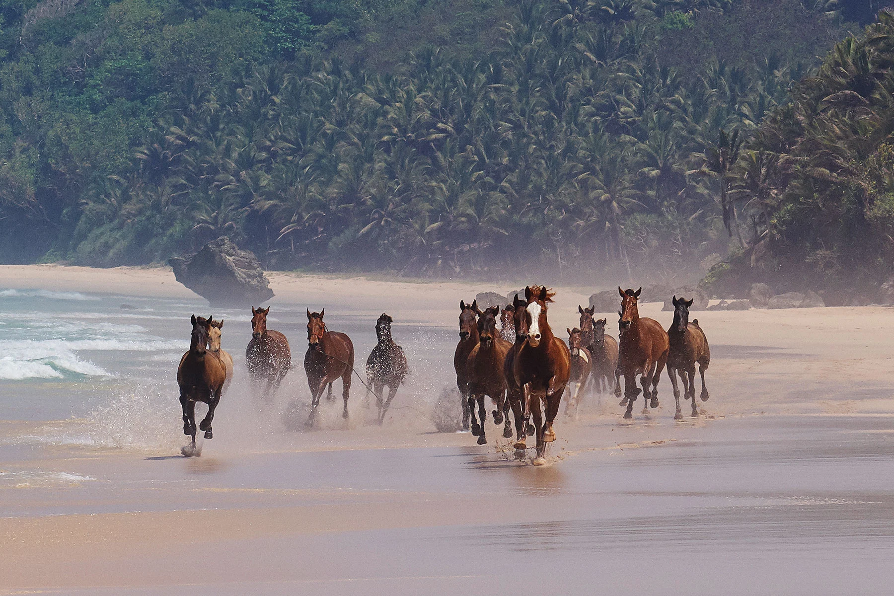 Cavalos correndo junto às ondas na praia de Nihiwatu do NIHI Sumba